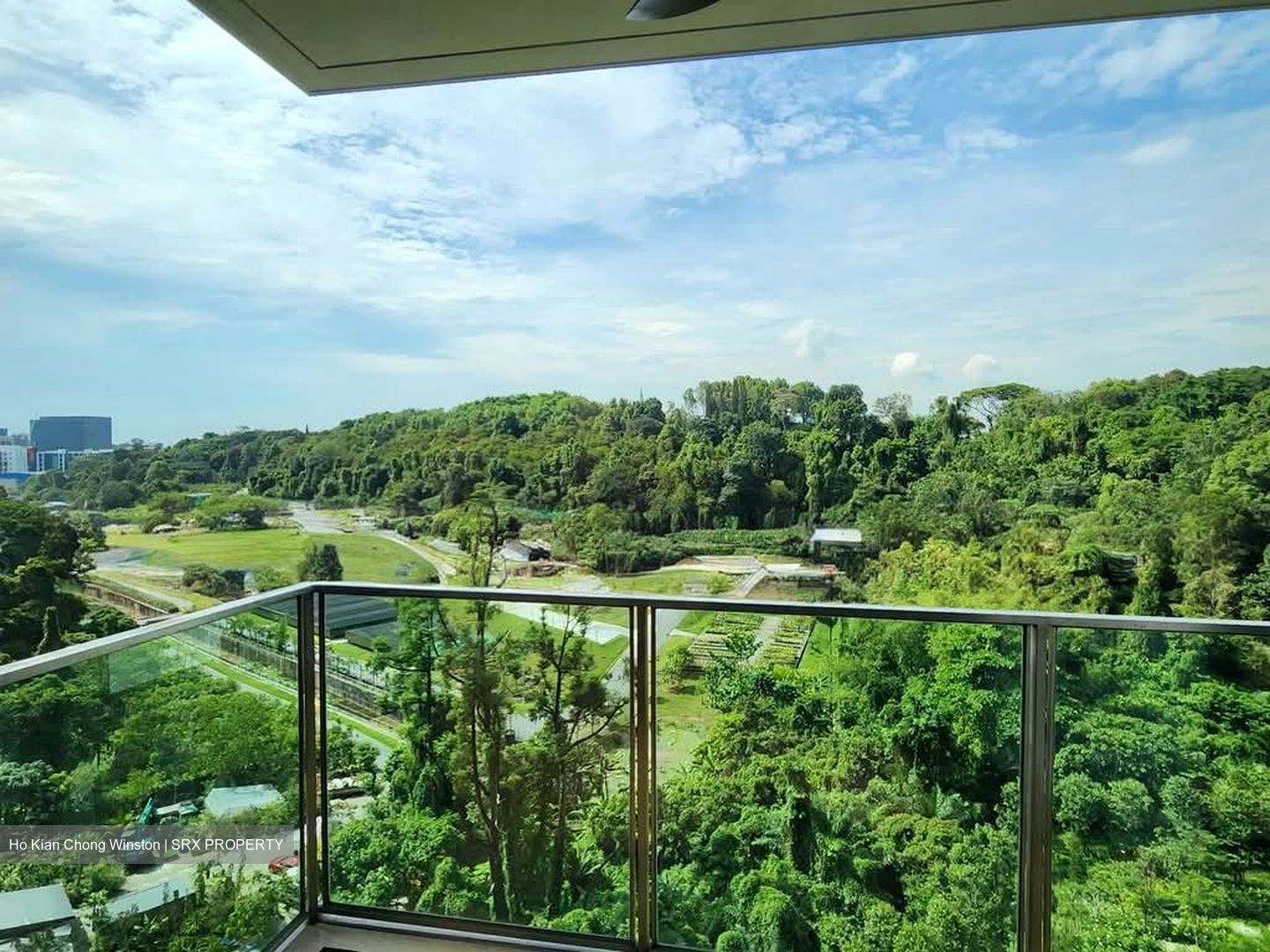 Normanton Park (D5), Apartment #552398471